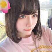 ヒメ日記 2025/12/07 02:04 投稿 ひらり ワンダーホール24in幕張