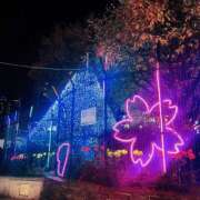 ヒメ日記 2025/12/15 11:23 投稿 さゆみ 新宿・本格コスプレ美人秘書オフィスイメクラ「秘書課女子」