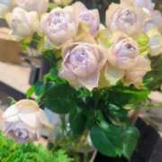 ヒメ日記 2026/01/30 06:45 投稿 ともみ 新宿・本格コスプレ美人秘書オフィスイメクラ「秘書課女子」