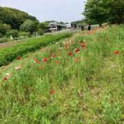 ヒメ日記 2025/12/04 15:15 投稿 ひかり 新宿・本格コスプレ美人秘書オフィスイメクラ「秘書課女子」