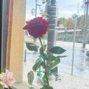 ヒメ日記 2025/12/16 20:34 投稿 りさ 新宿・本格コスプレ美人秘書オフィスイメクラ「秘書課女子」