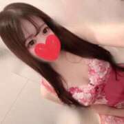 ヒメ日記 2025/12/04 18:10 投稿 ねね セグレターリオ