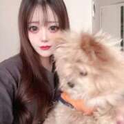 ねね 実物の方が、、、 セグレターリオ