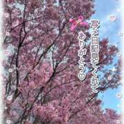 ヒメ日記 2026/03/26 20:00 投稿 かのん 新宿・本格コスプレ美人秘書オフィスイメクラ「秘書課女子」