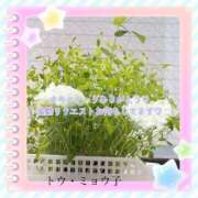 ヒメ日記 2026/03/29 08:01 投稿 かのん 新宿・本格コスプレ美人秘書オフィスイメクラ「秘書課女子」