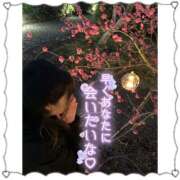 ヒメ日記 2026/01/25 23:09 投稿 ゆかり 新宿・本格コスプレ美人秘書オフィスイメクラ「秘書課女子」