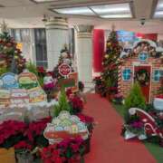 かんな カワイイ? ちゃんこ大阪伊丹空港豊中店