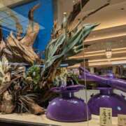 ヒメ日記 2026/01/01 07:39 投稿 かんな ちゃんこ大阪伊丹空港豊中店