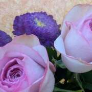 ヒメ日記 2026/01/02 19:26 投稿 かんな ちゃんこ大阪伊丹空港豊中店