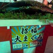 ヒメ日記 2026/01/12 01:09 投稿 かんな ちゃんこ大阪伊丹空港豊中店