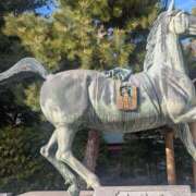 ヒメ日記 2026/03/04 20:38 投稿 かんな ちゃんこ大阪伊丹空港豊中店