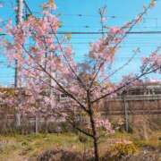 ヒメ日記 2026/03/13 01:22 投稿 かんな ちゃんこ大阪伊丹空港豊中店