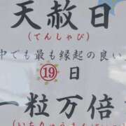 ヒメ日記 2026/07/18 23:59 投稿 かんな ちゃんこ大阪伊丹空港豊中店