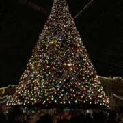 ヒメ日記 2025/12/14 18:19 投稿 藤沢きほ 池袋パラダイス