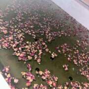 ヒメ日記 2025/12/28 01:09 投稿 藤沢きほ 池袋パラダイス