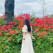 ヒメ日記 2026/01/06 10:09 投稿 藤沢きほ 池袋パラダイス