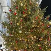 ヒメ日記 2025/12/24 16:38 投稿 えま ぐっどがーる浜松店