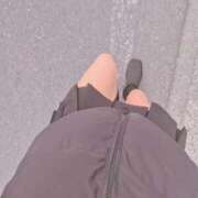 らあ にゃんにゃんの日 ナイトヴィーナス