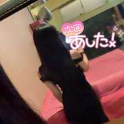 ヒメ日記 2025/12/10 15:03 投稿 ののか かぐや姫