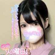 ヒメ日記 2025/12/15 11:03 投稿 ののか かぐや姫