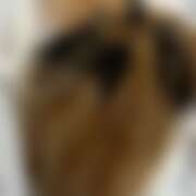 ヒメ日記 2026/01/19 00:46 投稿 ののか かぐや姫