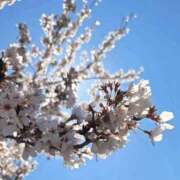 ヒメ日記 2026/04/08 21:34 投稿 まりあ ちゃんこ長野塩尻北IC店