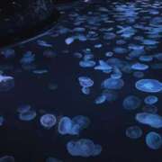 ヒメ日記 2025/12/19 12:03 投稿 るな 所沢東村山ちゃんこ