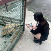 ヒメ日記 2025/11/29 02:43 投稿 あみ 秋葉原コスプレ学園in仙台