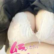 ヒメ日記 2026/02/15 17:57 投稿 ふうか 日本橋・谷九サンキュー