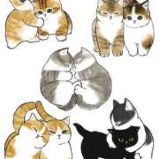 ヒメ日記 2025/12/22 20:26 投稿 水瀬あみ PLAY