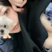 ヒメ日記 2026/02/19 16:47 投稿 まこと Grace東京