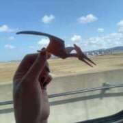 まこと 恐竜 Grace東京