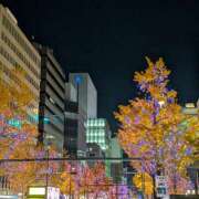 ヒメ日記 2025/12/07 22:22 投稿 【梅田店】さとみ クラブダイアモンド梅田店