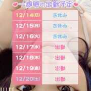 ヒメ日記 2025/12/14 22:07 投稿 【梅田店】さとみ クラブダイアモンド梅田店