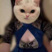 しゅうか 🐱 ハピネス東京