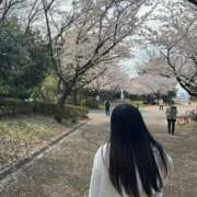 ヒメ日記 2026/03/28 17:19 投稿 佐倉なな ウルトラハピネス