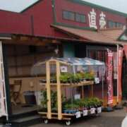 ヒメ日記 2026/04/18 19:40 投稿 なつこ 脱がされたい人妻茂原店