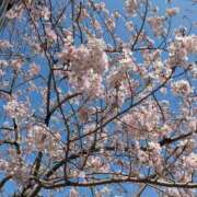 ヒメ日記 2026/03/24 18:06 投稿 めあり ぽっちゃり巨乳素人専門店ぷにめろ蒲田店