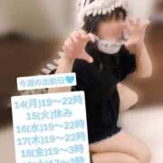 ヒメ日記 2026/09/14 19:26 投稿 めあり ぽっちゃり巨乳素人専門店ぷにめろ蒲田店