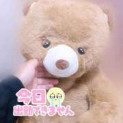 ヒメ日記 2026/09/25 18:30 投稿 めあり ぽっちゃり巨乳素人専門店ぷにめろ蒲田店