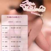 ヒメ日記 2026/10/05 09:56 投稿 めあり ぽっちゃり巨乳素人専門店ぷにめろ蒲田店