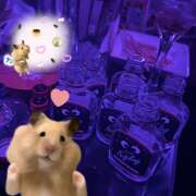 ヒメ日記 2025/12/29 02:07 投稿 つかさ みつばちマーヤZ