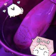 ヒメ日記 2026/01/14 23:37 投稿 つかさ みつばちマーヤZ