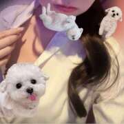 ヒメ日記 2026/01/25 00:37 投稿 つかさ みつばちマーヤZ