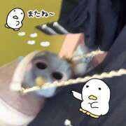 ヒメ日記 2026/01/28 00:14 投稿 つかさ みつばちマーヤZ