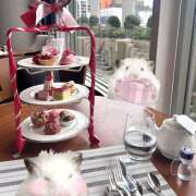 ヒメ日記 2026/02/01 00:02 投稿 つかさ みつばちマーヤZ