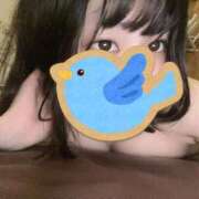 ヒメ日記 2025/12/11 01:01 投稿 れいか【また会いたい量産中♡】 LIPS(リップス)