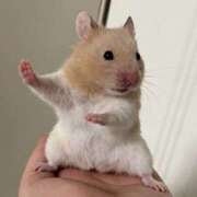 ヒメ日記 2026/02/08 18:08 投稿 レイ LOVE(小名浜)