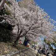 ヒメ日記 2026/04/08 16:26 投稿 あかね ミセスコレクション