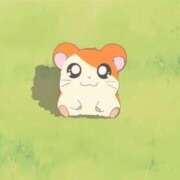 ヒメ日記 2025/11/30 22:33 投稿 まりあ（リアル処女×完全素人！ ハニービー（Honey Bee）